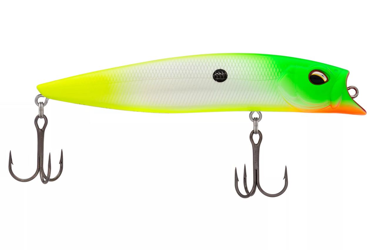 CATSHARK Minnow